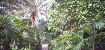 photo of Barbican conservatory