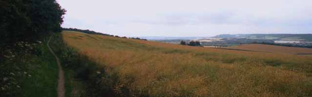 photo of North downs Wouldham