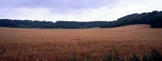 photo of North downs white horse stone